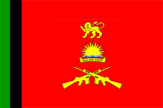 [infantry/rifle regiment or unit flag]